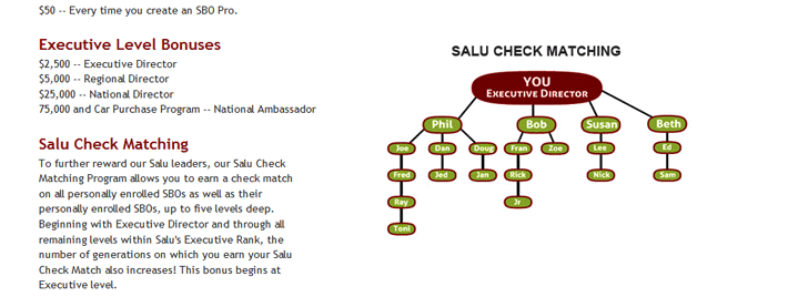 Salu International