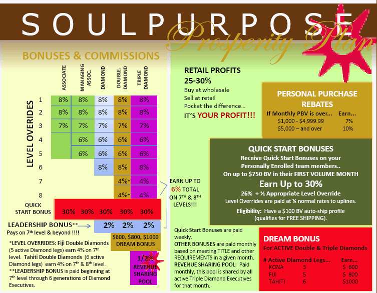 Soul Purpose