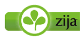 Zija Internatinal