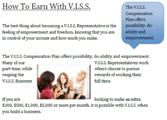 V.I.S.S. International