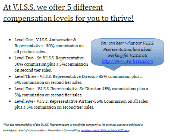 V.I.S.S. International