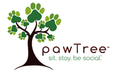Pawtree
